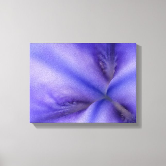 Toile Fleur Iris Violet Fermer (Recto)
