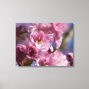 Toile Fleur rose japonais fleurs de cerisier Mur Art