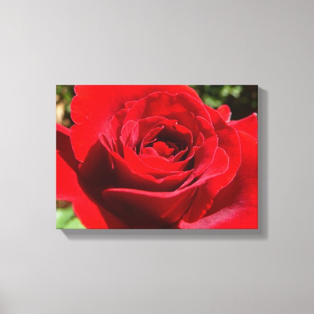 Toile Fleur rose rouge vif Belle florale (Recto)