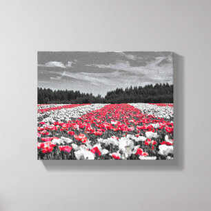 Toile Fleur rouge noir