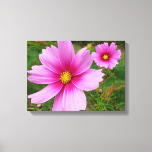Toile Fleur sauvage de fleurs Cosmos roses