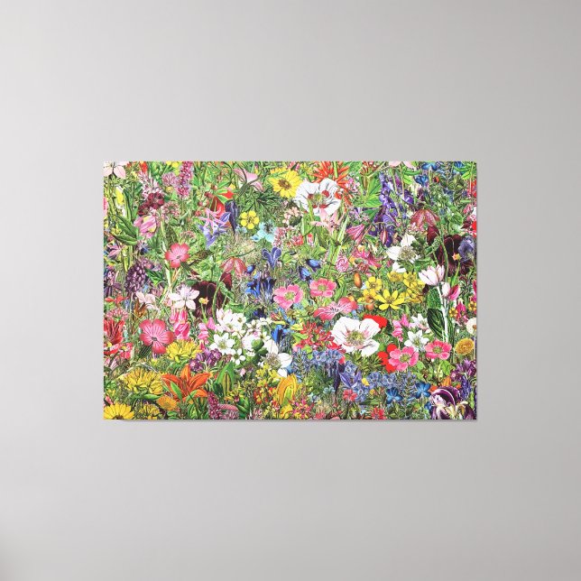 Toile Fleur sauvage de la nature en fleurs botaniques (Recto)