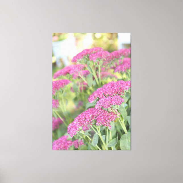 Toile fleurie rose fuchsia (Recto)