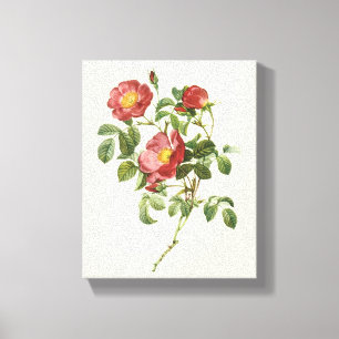 Toile Fleurs Anciennes Fleur Rouge de l'Amour par Redout