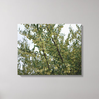 Toile Fleurs blanches crémeuses sur un buisson après la 
