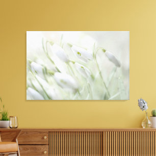 Toile Fleurs blanches de printemps magnifiques