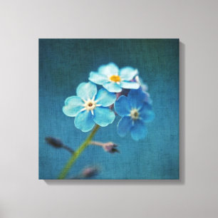 Toile Fleurs Bleues Myosotis Macro Photographie