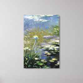 Toile Fleurs d'Agapanthus luxuriantes à Giverny