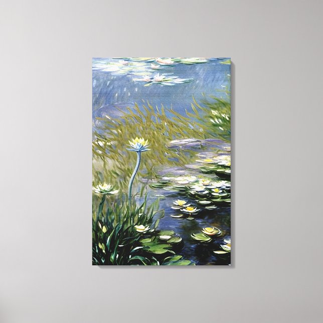 Toile Fleurs d'Agapanthus luxuriantes à Giverny (Recto)