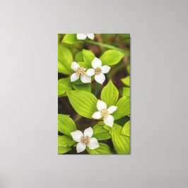 Toile Fleurs de Bunchberry