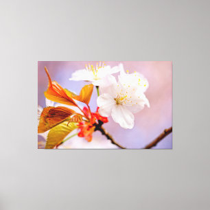 Toile Fleurs de cerises blanches fraîches mignonnes Saku