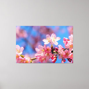Toile Fleurs de cerisier roses sur un arbre au printemps