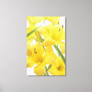 Toile Fleurs de Daylily et bourgeon floraux