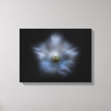Fleurs de jardin 24 couleurs version Flow