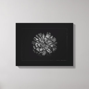 Toile Fleurs de jardin en noir et blanc n° 79 bordure