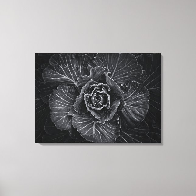 Toile Fleurs De jardin En Noir Et Blanc No 108 (Recto)