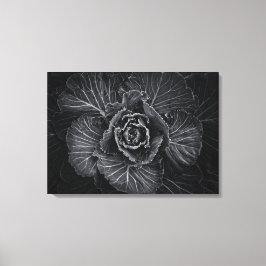 Toile Fleurs De jardin En Noir Et Blanc No 108