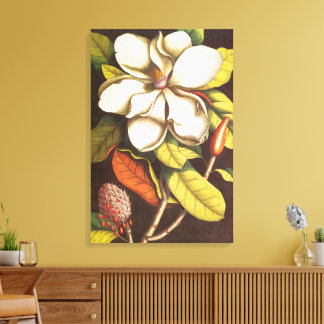 Toile Fleurs de magnolia vintage avec graines