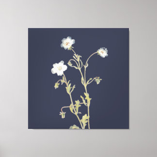 Toile Fleurs de Nemophila