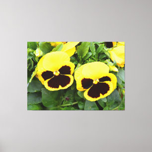 Toile Fleurs de pansement jaune