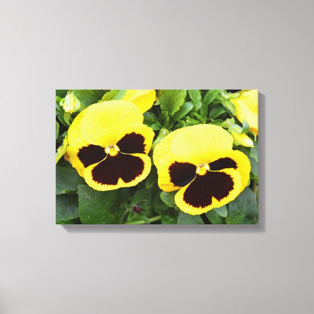 Toile Fleurs de pensée jaune (Recto)