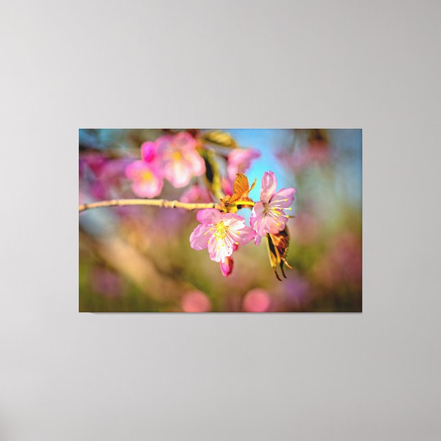 Toile Fleurs de Sakura Adorables et Mignonnes au Coucher (Recto)
