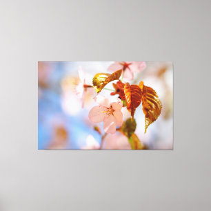 Toile Fleurs de Sakura et feuilles d'orange au printemps