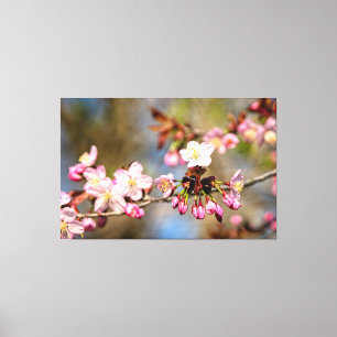 Toile Fleurs de Sakura fraîches et ensoleillées et bourg