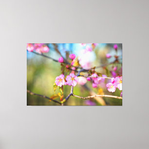 Toile Fleurs De Sakura Rose Artistique Dans Le Jardin De