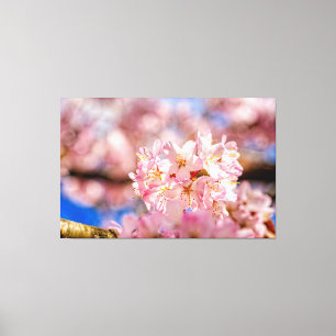 Toile Fleurs de Sakura roses époustouflantes et incroyab