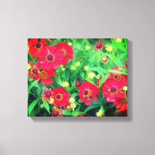 Toile Fleurs de Zinnia rouge qui s'estompent (Recto)