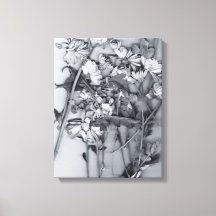 Fleurs en noir et blanc