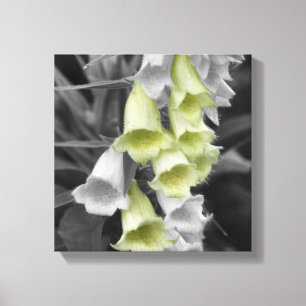 Toile Fleurs Foxglove Couleur partielle