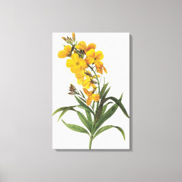 Toile Fleurs jaunes (nom inconnu) Pierre Joseph Redout