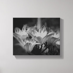 Toile Fleurs Lys En Noir Et Blanc