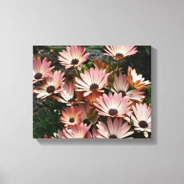 Toile Fleurs marguerites africaines roses (Recto)