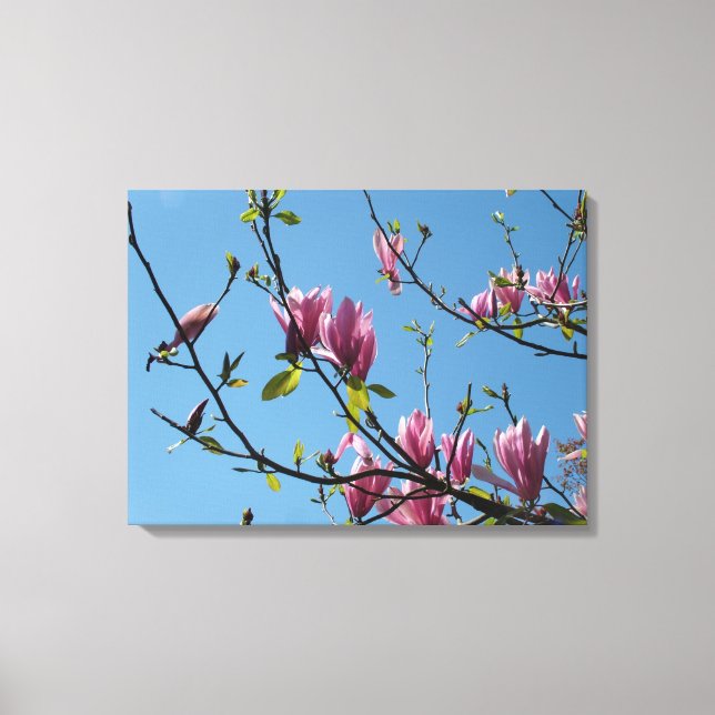 Toile fleurs mauve de magnolia dans le ciel bleu (Recto)