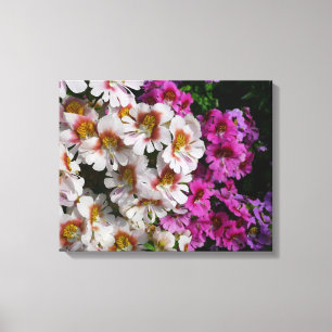 Toile Fleurs papillon rose blanc et violet