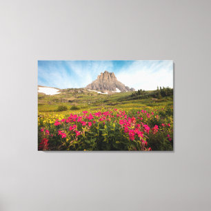 Toile Fleurs   Parc national des Glaciers du Montana