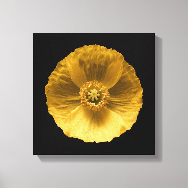 Toile Fleurs | Pavot jaune (Recto)