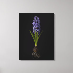 Toile Fleurs   Puce Hyacinth violette