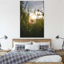 Fleurs romantiques – Daisy Fantasy Botanique