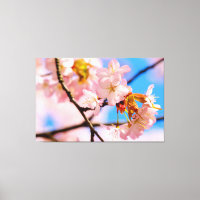 Fleurs roses de Sakura par une chaude journée prin