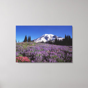 Toile fleurs sauvages estivales au pied du mont Rainier,
