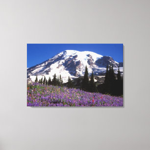 Toile fleurs sauvages estivales au pied du mont Rainier,