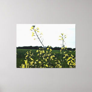 Toile Fleurs sauvages jaunes dans un champ ouvert