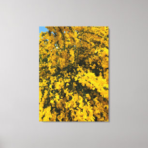 Toile Fleurs sauvages sur le sentier, Oregon