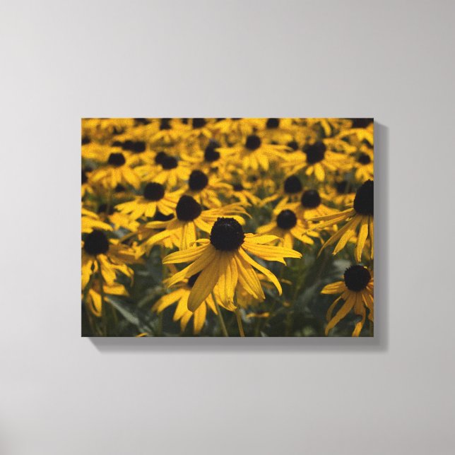 Toile Fleurs Susan aux yeux noirs (Recto)