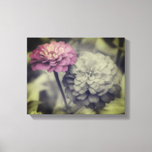 Toile Fleurs Zinnia Rose Noir Et Blanc