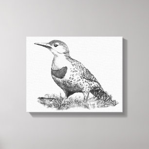 Toile Flicker du Nord féminin